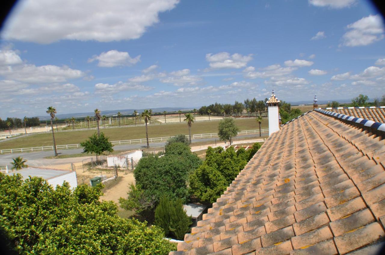 Cortijo La Amazona Villa Seville Exterior photo