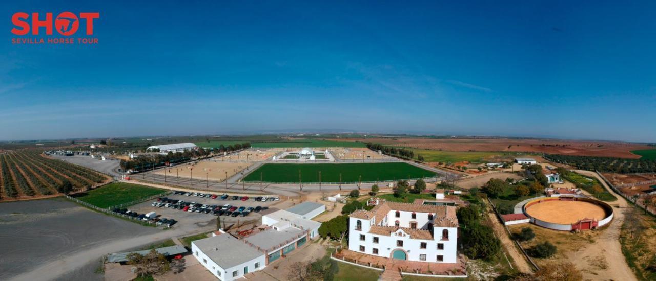 Cortijo La Amazona Villa Seville Exterior photo